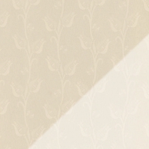 650-tulpan-cream - PREVIEW