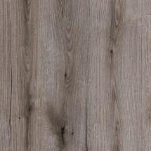 K366_Fossil Evoke Oak